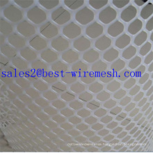 PP and PE Plastic Flat Wire Mesh for Poultry